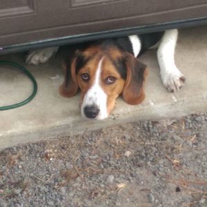 Meet your Posher, Bryan